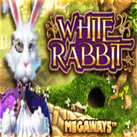 White Rabbit