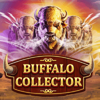 Buffalo Collector